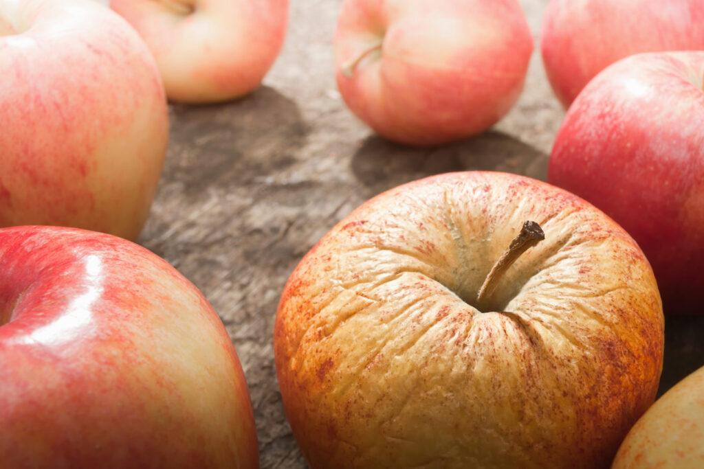 Rotten (Broken) Supplier Data